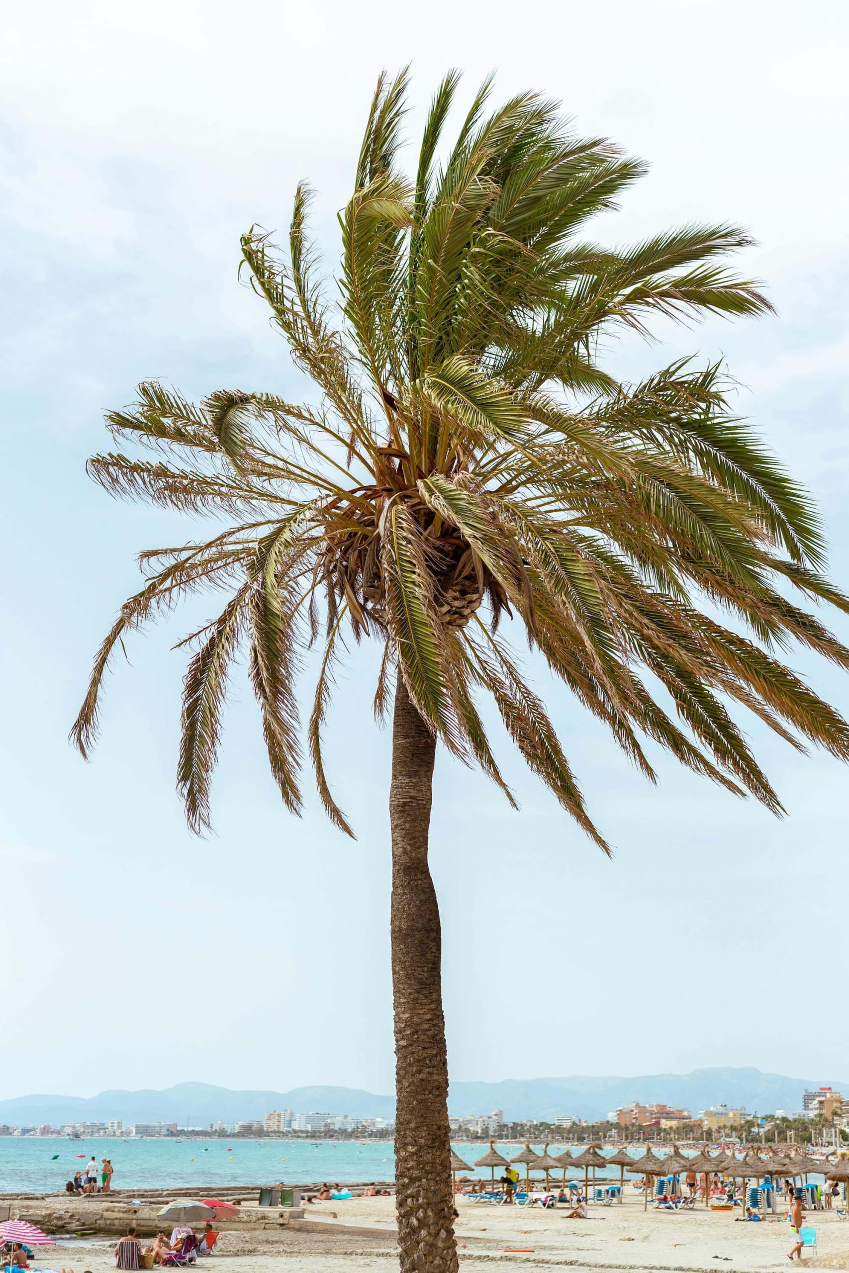Klimaat Ibiza